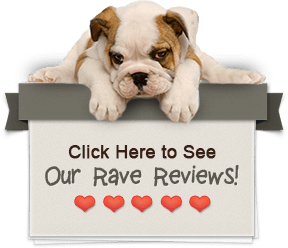 Click Here to See Our Rave Reviews!