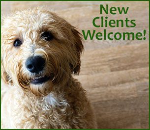 New Clients Welcome!